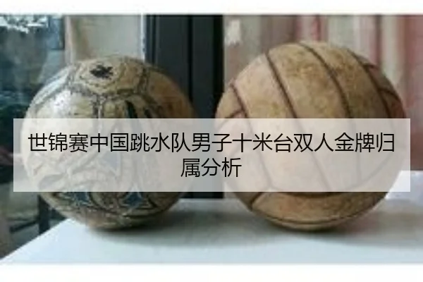 世锦赛中国跳水队男子十米台双人金牌归属分析（PG）